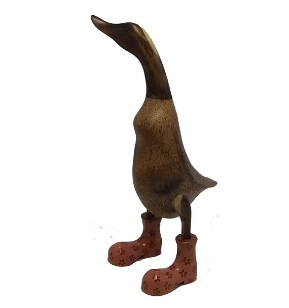 duck wearing boots