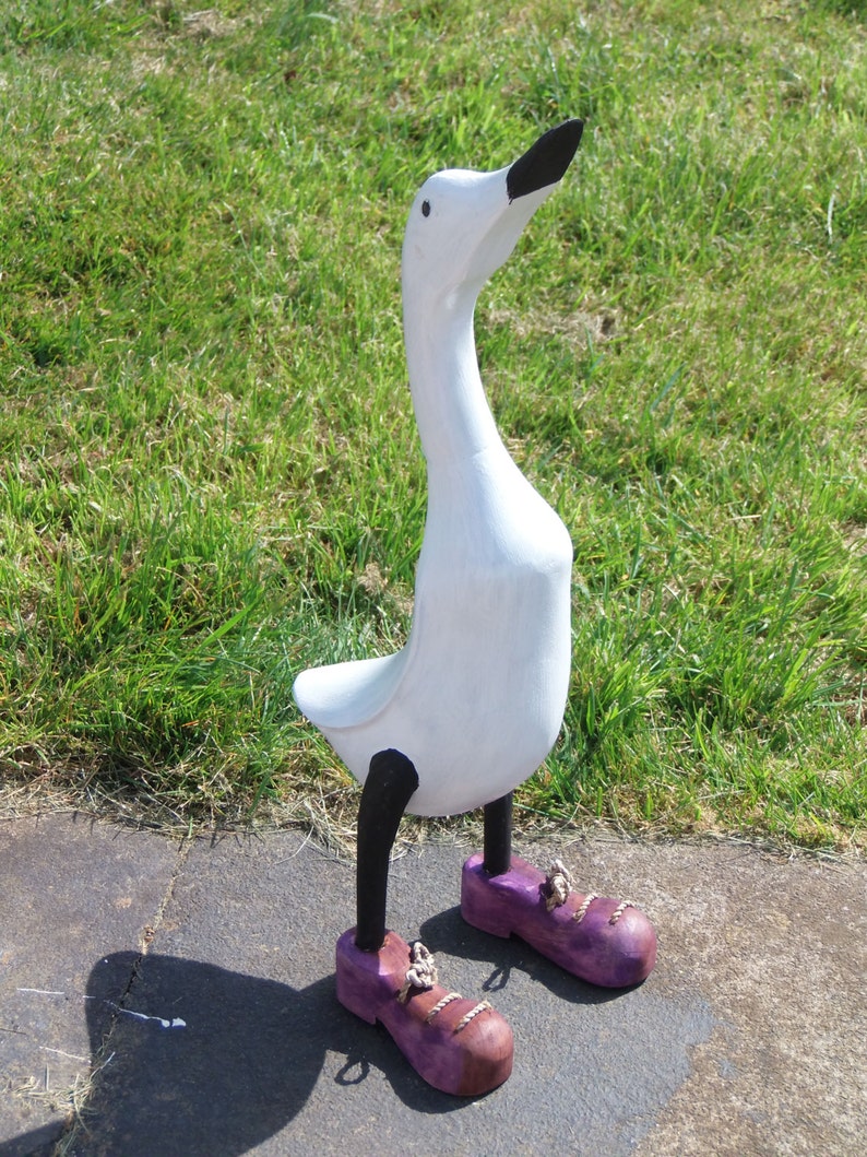 duck with shoes