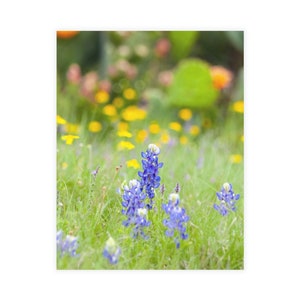 Original Foto Grußkarten Texas Bluebonnets Grußkarten mit Umschlägen Dankeskarte persönlicher Geschenkanhänger Bluebonnet Postkarte Fine Art Card