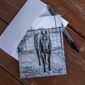 Carte de correspondance avec photo équin, cartes de voeux photo cheval, carte d'anniversaire cow-boy, Noël cow-boy, décoration ferme vache cheval ranch cartes de voeux