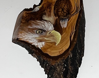 JOAN WHITE Nicolet Studio Nationally Renowned Wildlife Artist - 3 Bald Eagles Oil Painting On Live Edge Wood - 6"Wx11"Lx1"Thick