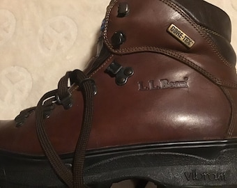 Nearly New L.L. LL Bean All Leather Gore-Tex Cresta Hiking Boots Size 8.5B (Medium Width) Women's Hikers Dark Brown