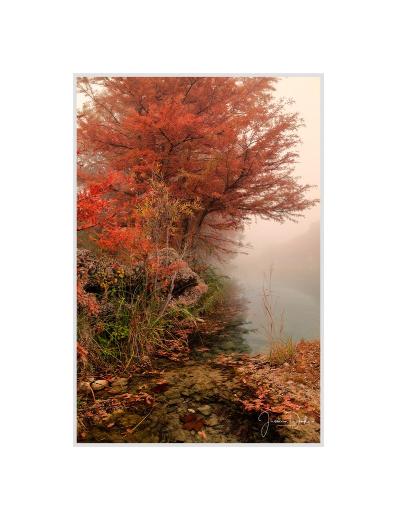 Autumn Fall Color Fog Canyon Professional Photograph Print Photo Poster Canvas