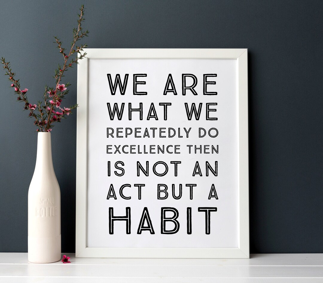 We Are What We Repeatedly Do Excellence Then is Not Act but a Habit ...