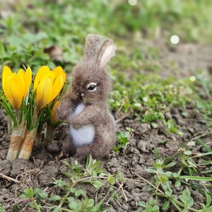 Needle Felted Little Bunny Miniature Sculpture Baby Bunny Hare Rabbit ...