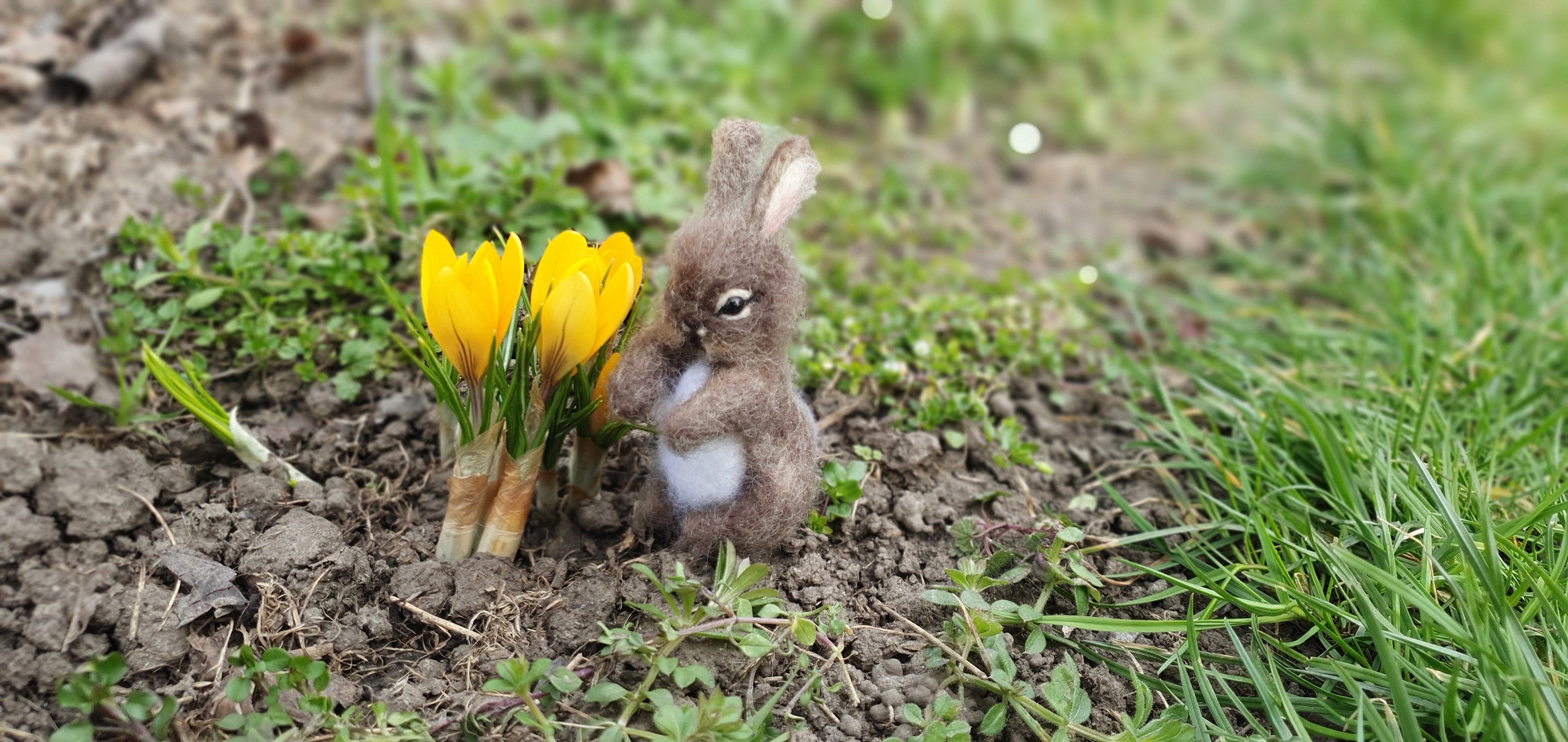 Needle Felted Little Bunny Miniature Sculpture Baby Bunny Hare Rabbit ...