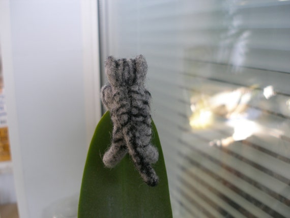 poupée tinnie
