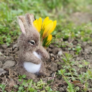 Needle Felted Little Bunny Miniature Sculpture Baby Bunny Hare Rabbit ...