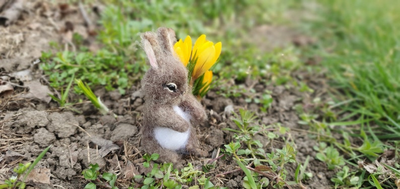 Needle Felted Little Bunny Miniature Sculpture Baby Bunny Hare Rabbit ...