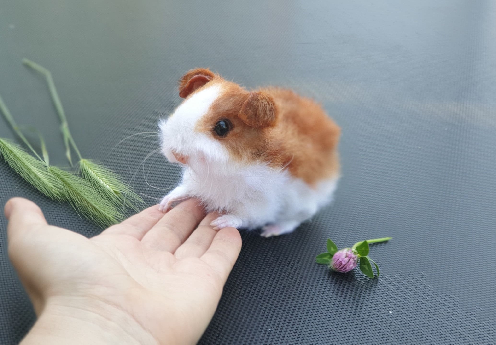 Clone hamster Clone hamster