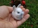 Needle felted Animal bunny miniature pet  felted  tiny bunny rabbit  dollhouse Christmas  Wool Felt Animals  Easter Decor OOAK cute mini 