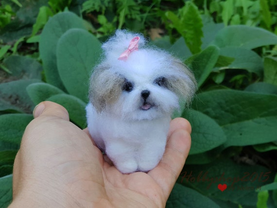 Top 5 Toys for Shih Tzus  The Dog People by