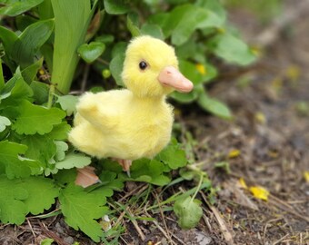 Duckling Duck figurine miniature doll soft toys yellow colors Soft toy ooak handmade bird soft sculpture yellow, life-sized, soft and fluffy