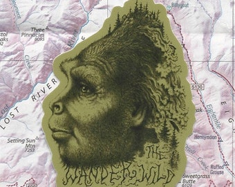 May include: A green and brown sticker with a drawing of a person's face and the text "The Wanderwild".