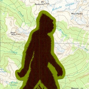 Sasquatch--Leave No Trace vinyl sticker