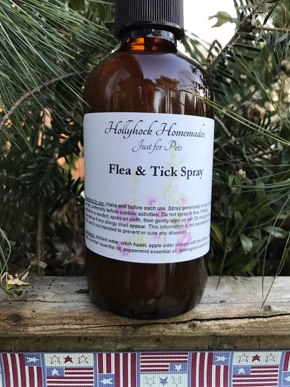 Witch top hazel fleas