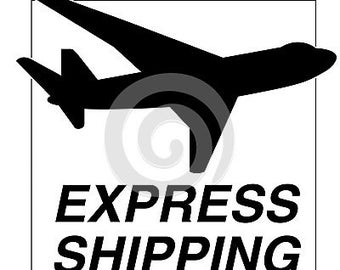 EXPRESS SERVICE (delivery within 2 days from the estimate shipping date (5 days for international orders)