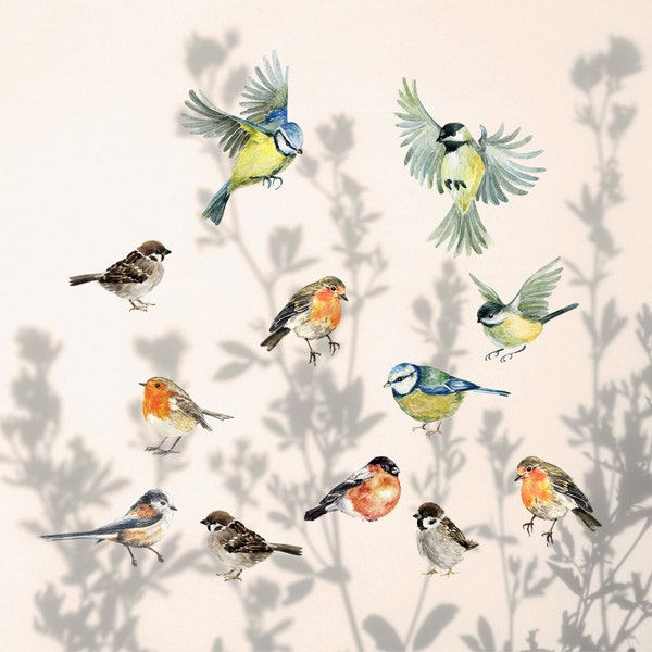 Bird Wall Decals - Etsy