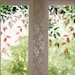 see more listings in the Spring Window Film section