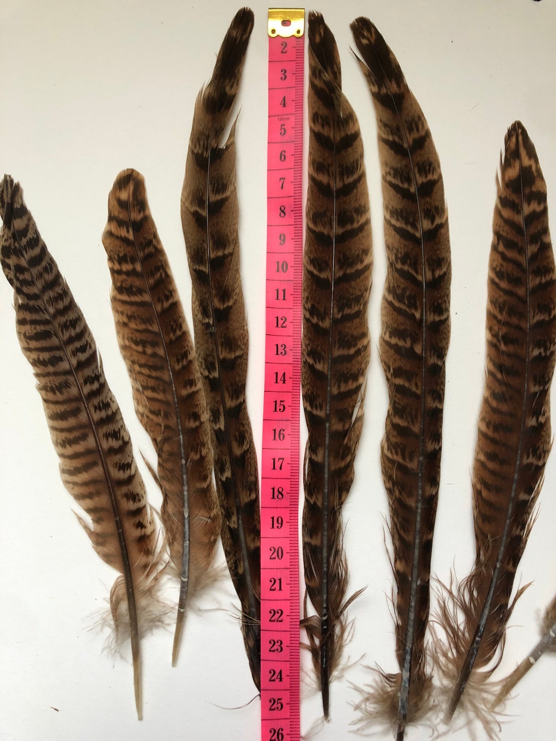 1725cm Hen Pheasant Feathers 7 10 Etsy