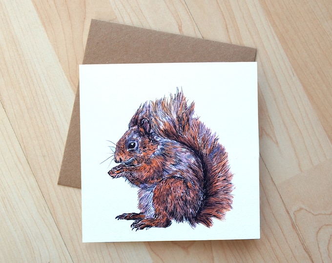 Red Squirrel illustration Greetings Card printed onto eco friendly card