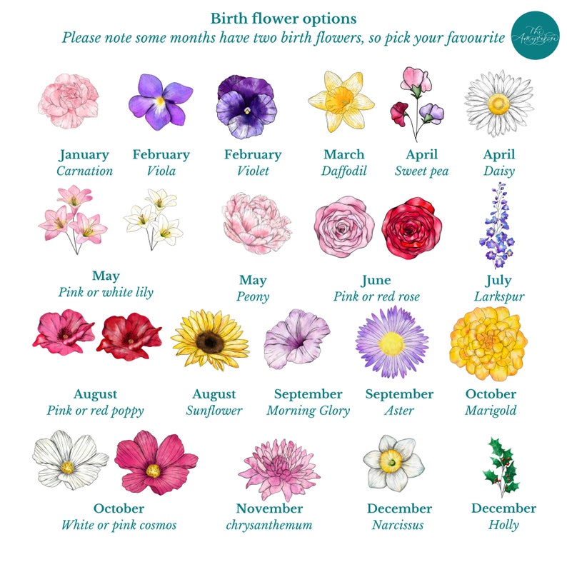 May include: A chart titled Birth flower options displaying watercolor illustrations of flowers labeled by month: January carnation, February viola and violet, March daffodil, April sweet pea and daisy, May lily and peony, June rose, July larkspur, August poppy and sunflower, September morning glory and aster, October marigold and cosmos, November chrysanthemum, and December narcissus and holly.