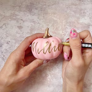 Pu&ograve; includere: Una piccola zucca decorativa rosa chiaro, liscia, con un picciolo color oro metallizzato. Il nome Millie &egrave; scritto in eleganti lettere dorate in corsivo sulla parte anteriore della zucca. Un pennarello a vernice dorata viene usato per scrivere.
