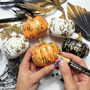 Pu&ograve; includere: Cinque piccole zucche decorative arancioni, bianche e nere, ciascuna con steli metallici dorati e nomi e impronte di zampe dipinti a mano in oro. Una zucca arancione viene decorata con un pennarello a vernice dorata.