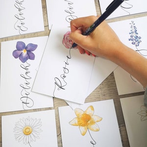May include: A collection of white rectangular cards featuring hand-drawn watercolor flowers and elegant black cursive calligraphy names. Each card displays a unique floral illustration, including a daisy, daffodil, and rose, paired with a name.