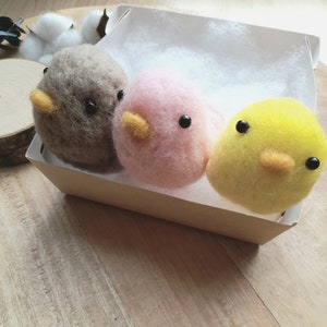 Peut inclure: Trois décorations d'oiseaux en feutre dans une boîte blanche. Les oiseaux sont brun, rose et jaune. Les oiseaux ont des yeux noirs et des becs jaunes.