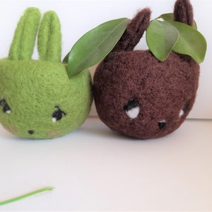 Può includere: Due vasi per piante in feltro a forma di animali, uno verde e uno marrone, con piccoli occhi neri e un naso nero. Il vaso verde ha le orecchie di coniglio e il vaso marrone ha foglie che spuntano dalla parte superiore.