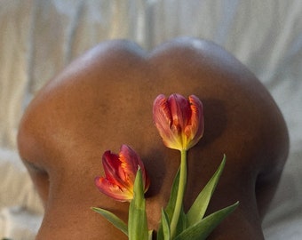 Tulips - Polaroid