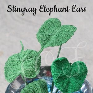 Crochet Stingray Plant Pattern, Crochet Elephant Ears, Alocasia Stingray Plant, Crochet Plants, Crochet Plant Pattern, Crochet Philodendron