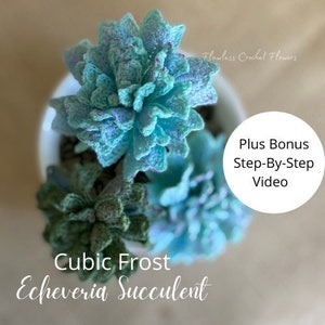 Crochet Echeveria Cubic Frost, Crochet Echeveria Succulent, Easy Crochet Succulent With Step-By-Step Video Tutorial