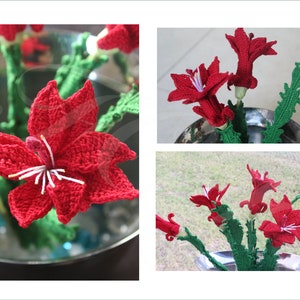 Crochet Christmas Cactus Pattern, Christmas Cactus Flower, Christmas Cactus Plant, Crochet Cactus