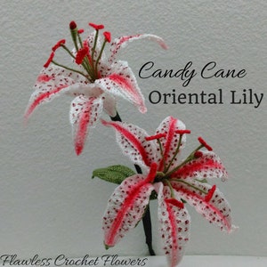 Crochet Lily, Oriental Lily Pattern, Candy Cane Lily, Crochet Lily Pattern, Stargazer Lily