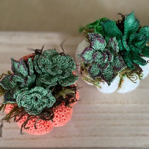 Crochet Pumpkin Succulents Pattern, Succulent Pumpkin Arrangements