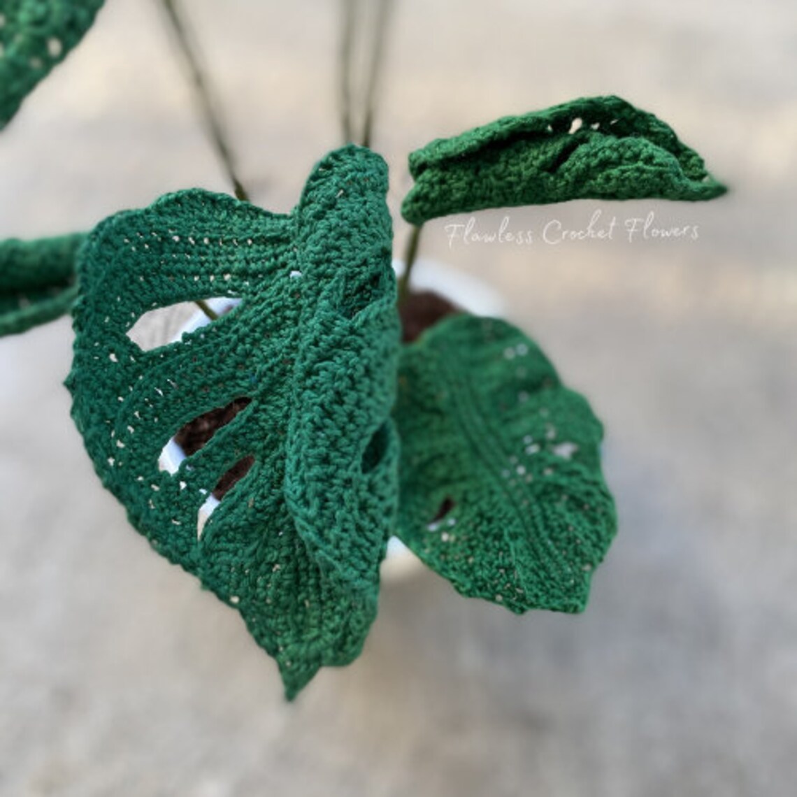 Crochet Swiss Cheese Monstera Pattern Monstera Crochet Etsy