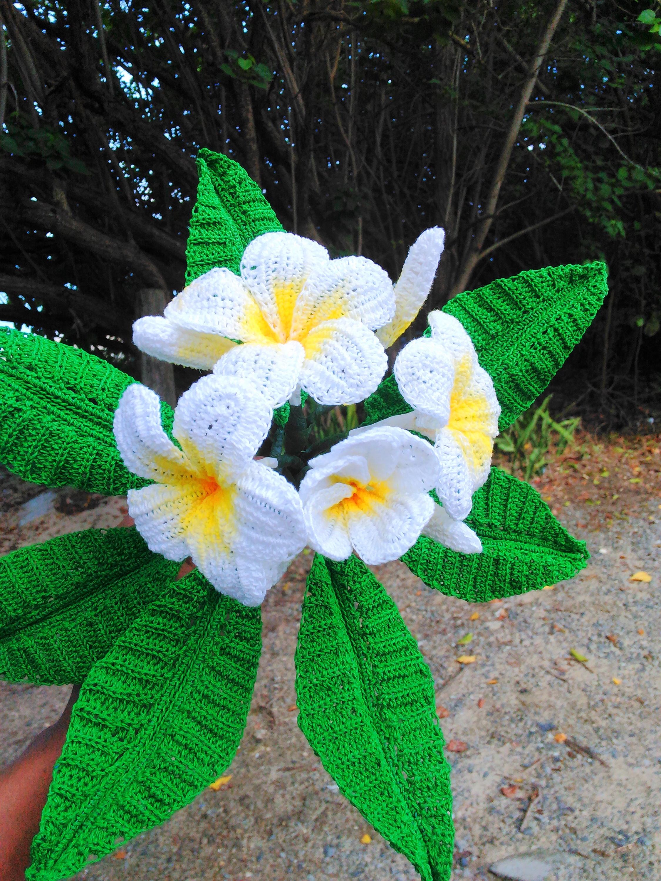 Frangipani Plumeria Crochet Flower Crochet Plumeria Plumeria Etsy