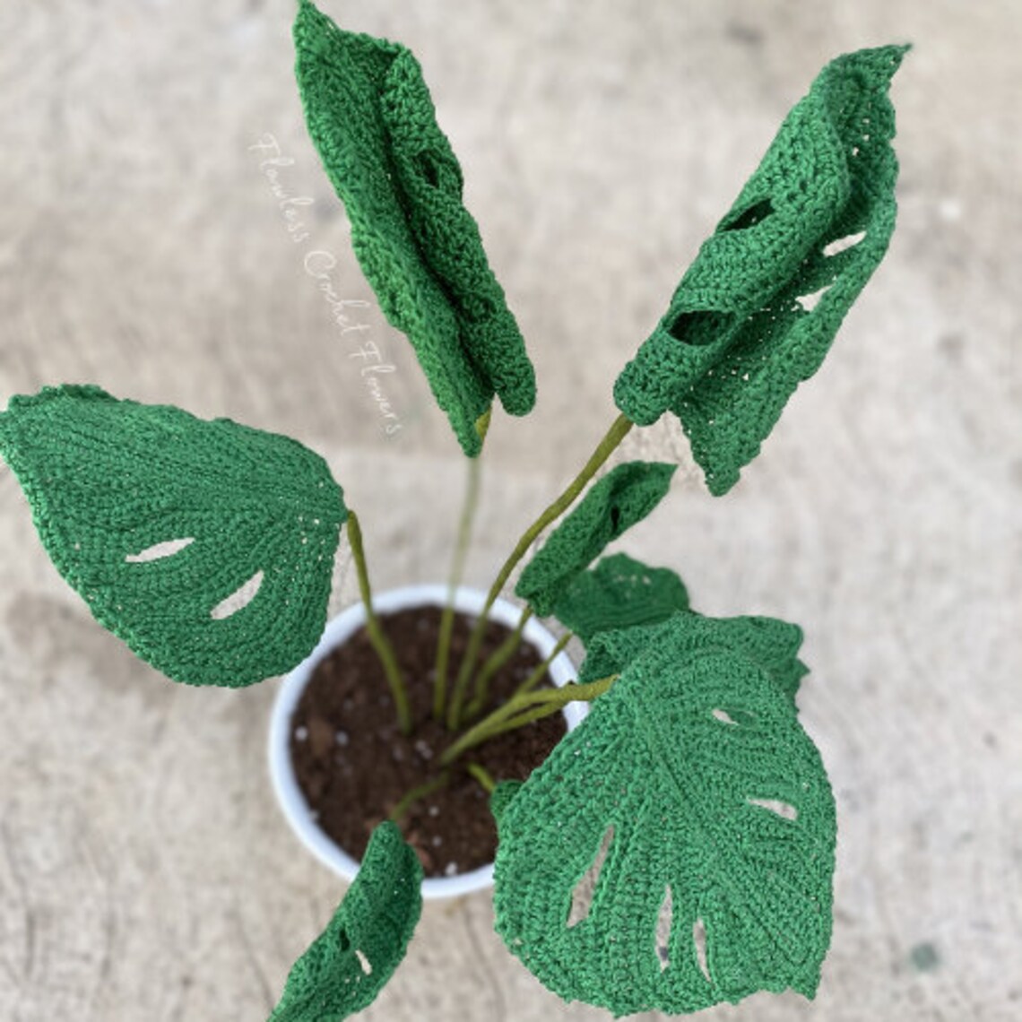 Crochet Swiss Cheese Monstera Pattern Monstera Crochet Etsy