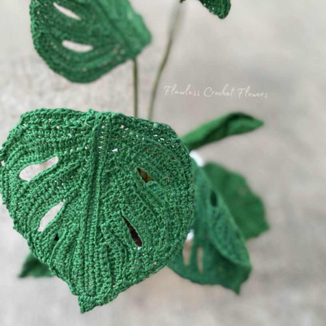 Crochet Swiss Cheese Monstera Pattern Monstera Crochet Etsy