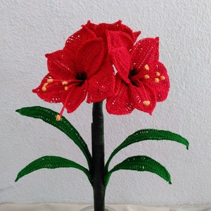 Amaryllis Crochet Flower, Amaryllis Bulb, Amaryllis Crochet Pattern