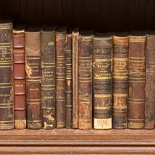 Antique books on bookshelfs, bookcase Door Cover