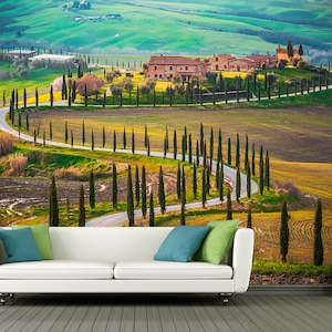 Tuscany, Italy, cypresses- Vinyl self adhesive wallpaper, custom size