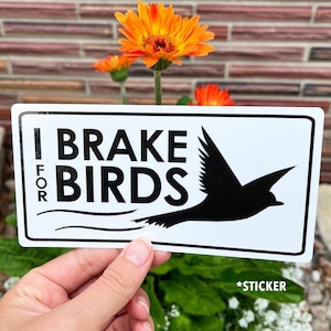 I Brake for Birds, Birding Sticker, Decal for bird lovers to put on their car