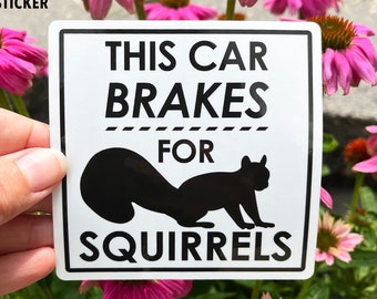 This Car Brakes for Squirrels Sticker - Animal Lover Decal