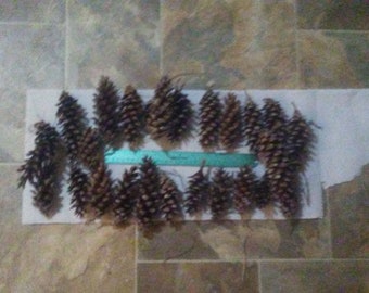 25 Eastern White pine cones from Vermont in different sizes arts and crafts supplies