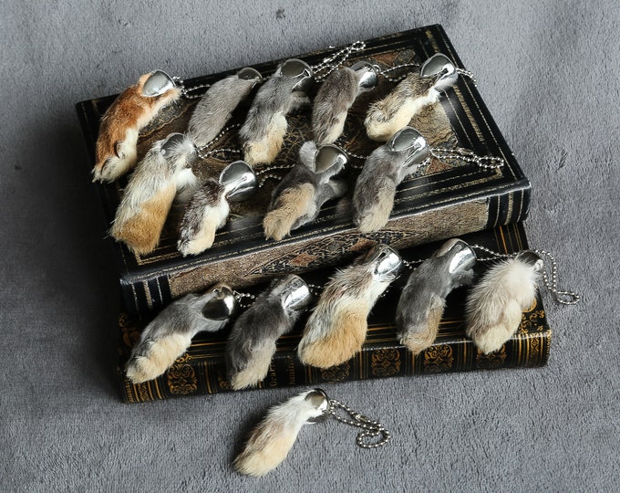 Real Lucky Rabbit Feet front Etsy