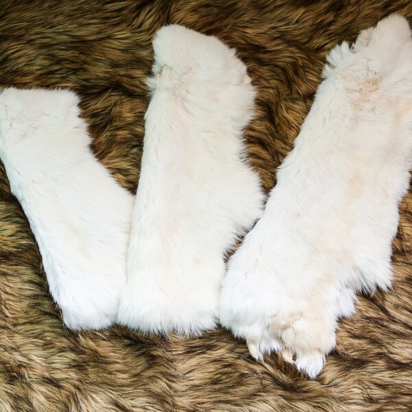 Rabbit Pelt Etsy