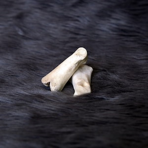 May include: Two white bones are stacked on top of each other on a dark gray fuzzy surface.